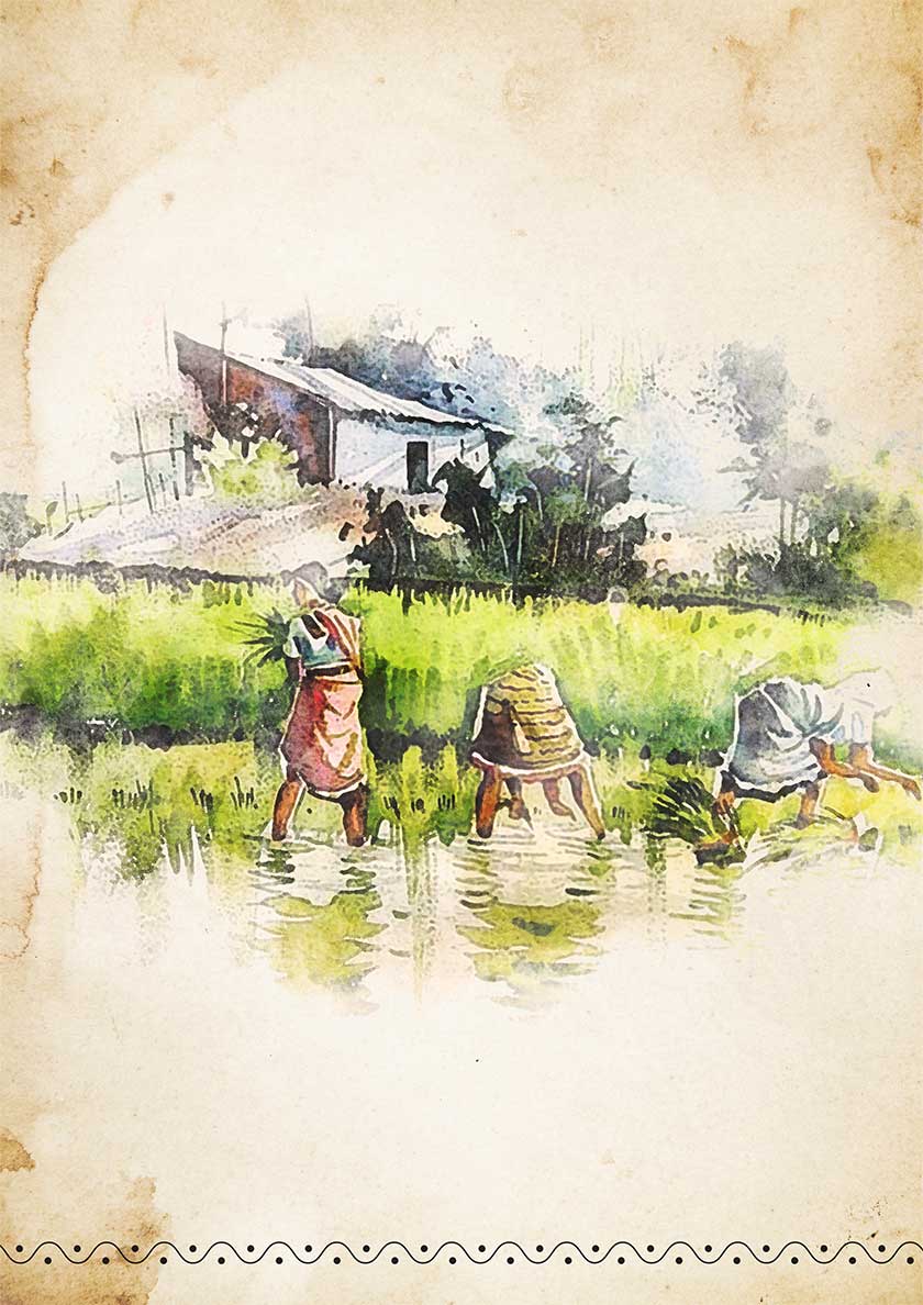 United Telugu Kitchen Vijayawada